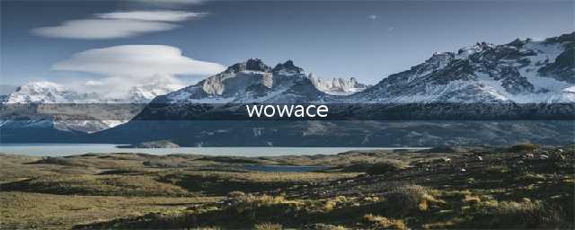 wow中ACE2是什么东西 有什么用(wowace)