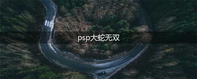 PSP版《无双大蛇》游戏攻略(psp大蛇无双)