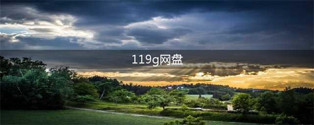 119网盘：免费高速网络存储平台(119g网盘)