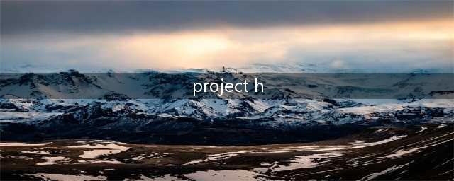 Project H完美通关指南分享(project h)