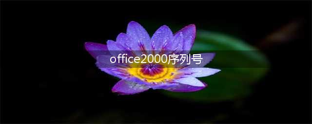office2000CDnbspKey安装字符序列号(office2000序列号)