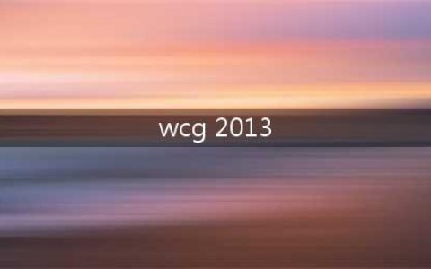 2013年WCG：英雄联盟比赛回顾(wcg 2013)