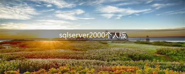 sql server 2000个人版和企业版差别(sqlserver2000个人版)