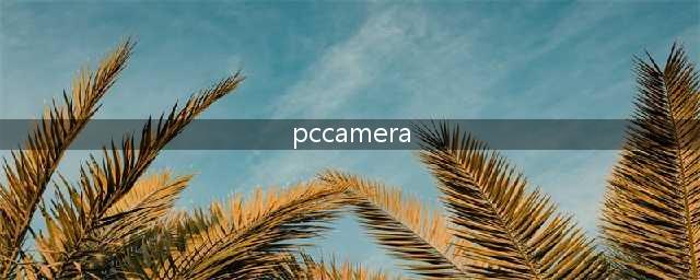 PC camera是什么(pccamera)