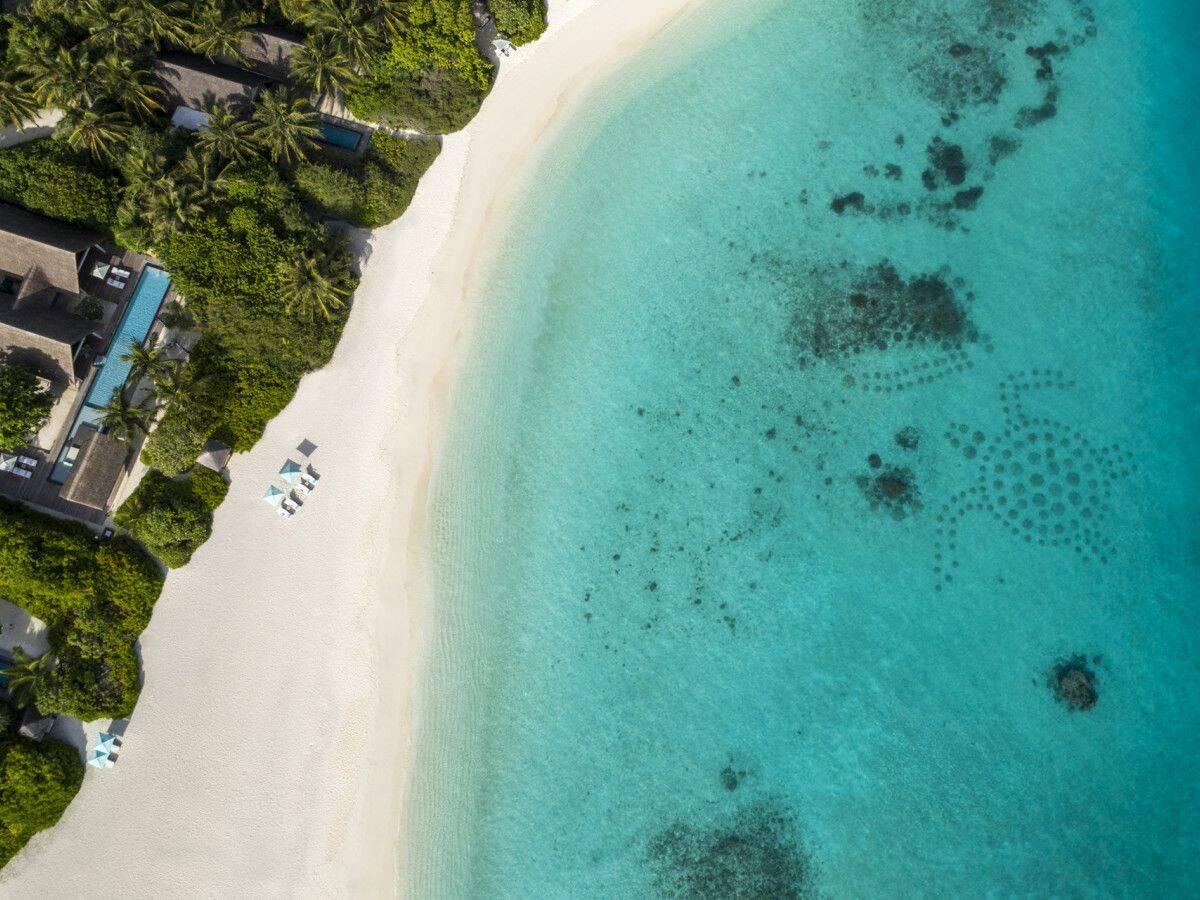 马尔代夫月桂岛游玩攻略，马尔代夫度假推荐月桂岛酒店