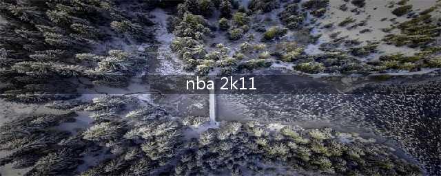 NBA 2K11传奇模式全攻略(nba 2k11)