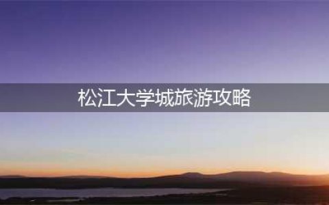 松江大学城旅游攻略（探索松江大学城的美食景点和文化）