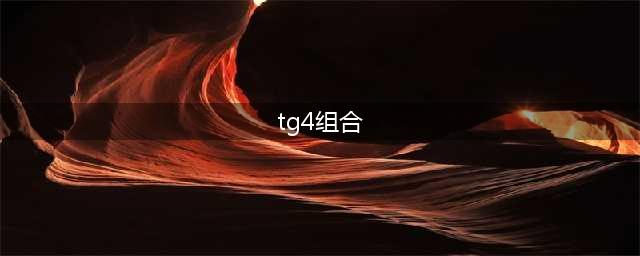 梦幻西游1 TG4PS组队攻略(tg4组合)