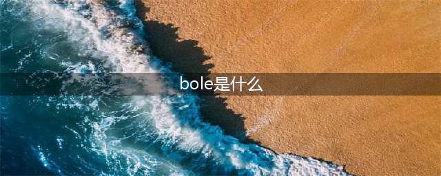 bole是什么？了解一下这个词的含义