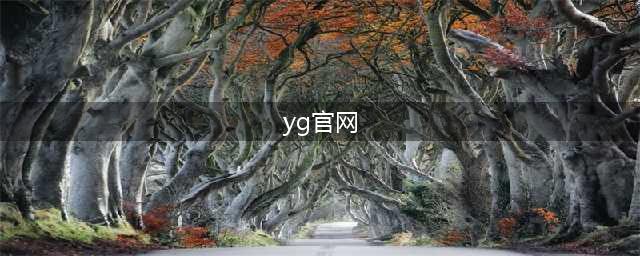 YG官网下载(yg手游攻略)