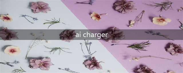 asua ai charger 是什么意思(ai charger)