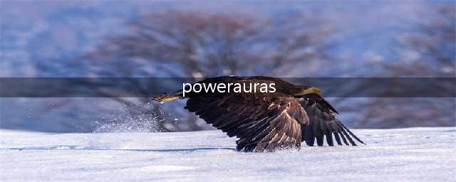 PowerAuras设置命令是什么(powerauras)