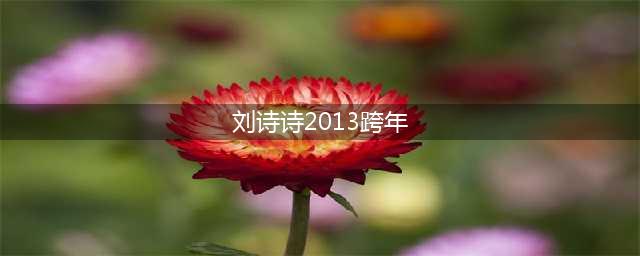 2013跨年演唱会名单 湖南卫视(刘诗诗2013跨年)