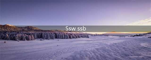 SSW与SSB的关系是什么 他们之间谁更厉害(Ssw ssb)