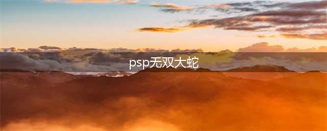 PSP游戏《无双大蛇》武将攻略详解(psp无双大蛇)