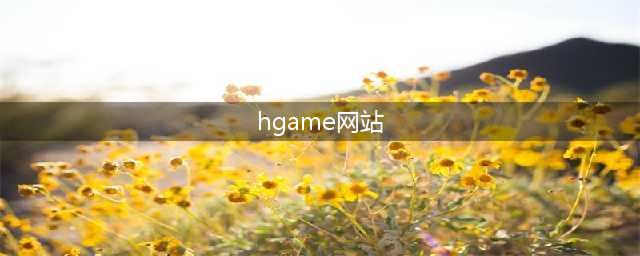 找一款2002年左右玩到过的一款Hgame游戏(hgame网站)