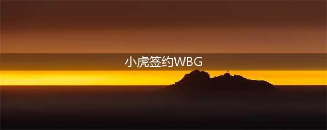 小虎成为wbg旗下签约艺人(小虎签约WBG)