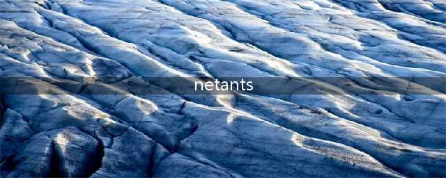 netants的中文意义及作用是什么(netants)