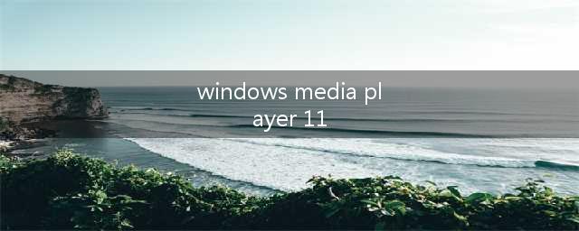 Windows Media Player 11到底怎样才能装好(windows media player 11)