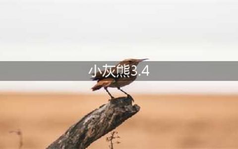 小灰熊卡拉ok字幕制作软件有什么用(小灰熊3.4)