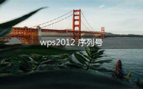 怎么查看wps2012专业版的激活信息(wps2012 序列号)