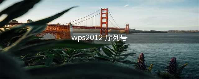 怎么查看wps2012专业版的激活信息(wps2012 序列号)