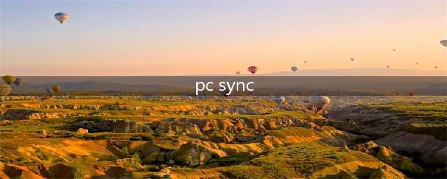 PC SYNC那个日历是什么意思(pc sync)