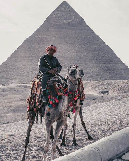 梦幻尼罗河畔,开启精彩埃及之旅埃及旅游局专业团队为您定制独特旅程