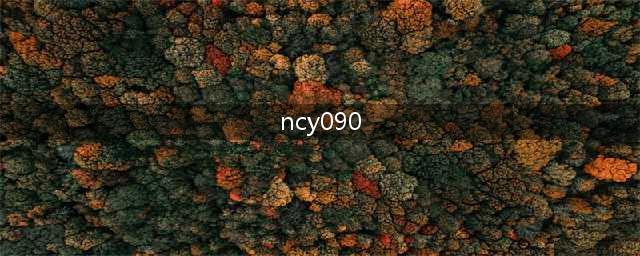 090数字代表什么意思(ncy090)