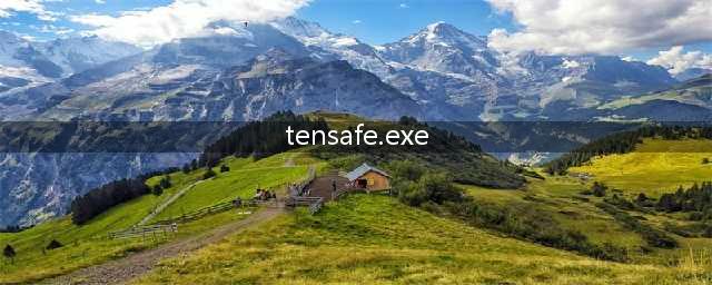 穿越火线启动文件在哪个位置(tensafe.exe)