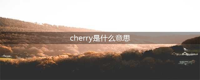 cherry是什么意思？