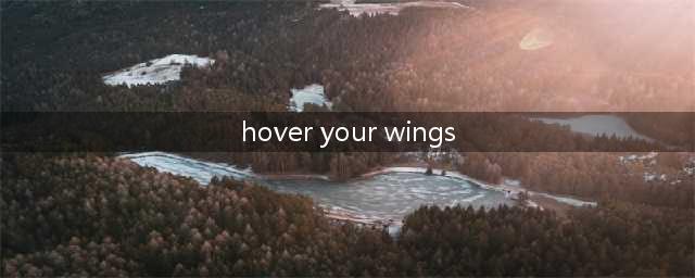 under your wings什么意思(hover your wings)