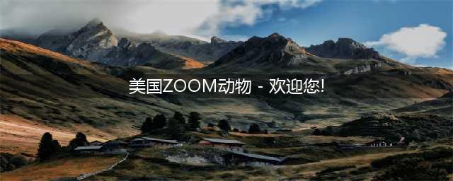 Zoom开发出狗狗版,欢迎领养！(美国ZOOM动物 - 欢迎您!)