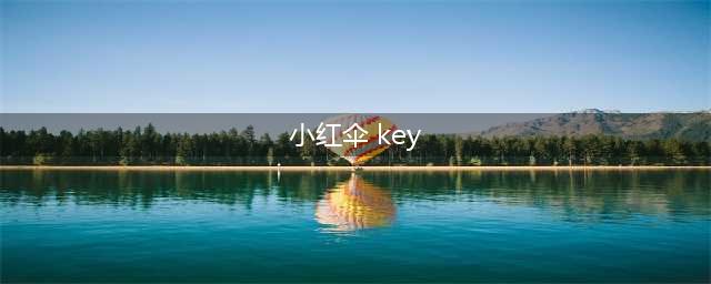 小红伞S版怎么输入Key(小红伞 key)