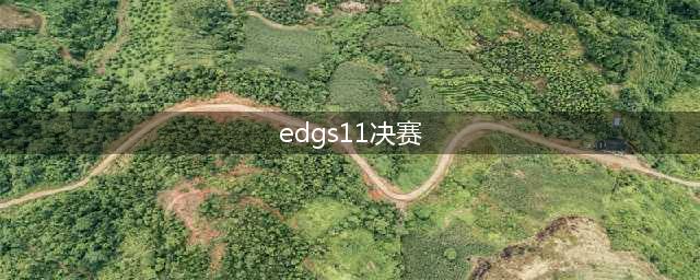 s11 edg全球总决赛人员(edgs11决赛)
