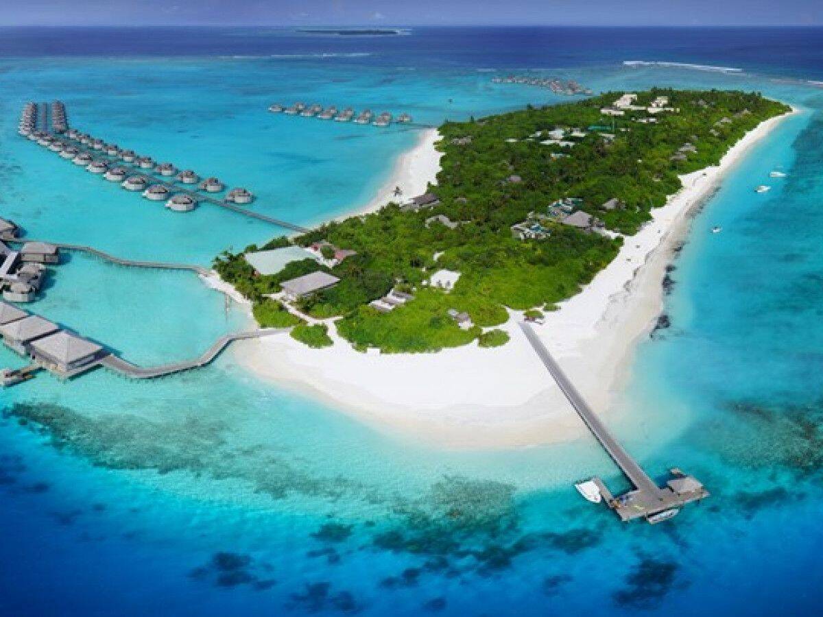 马尔代夫岛美人蕉岛（探索美人蕉岛的奇妙之旅）