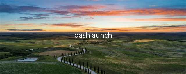 弱弱的问一下自制系统DashLaunch怎么关闭啊(dashlaunch)