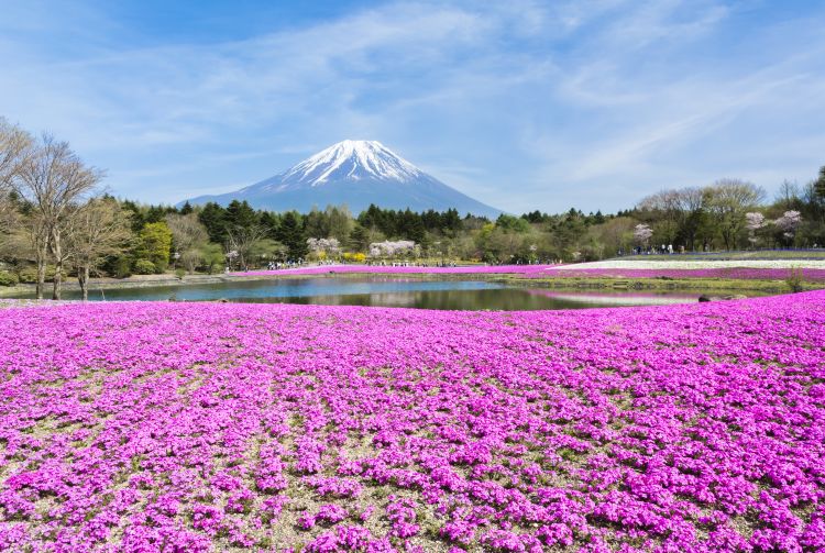 2023名古屋旅游攻略探索日本美丽的文化之都