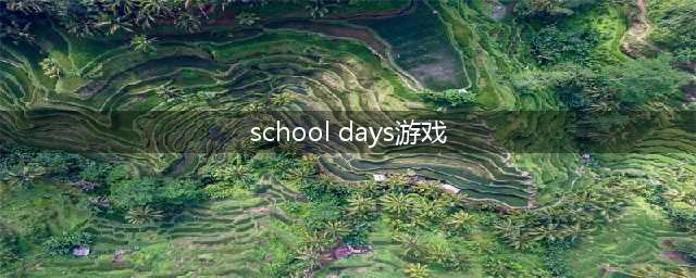校园恋爱游戏多结局攻略(school days游戏)