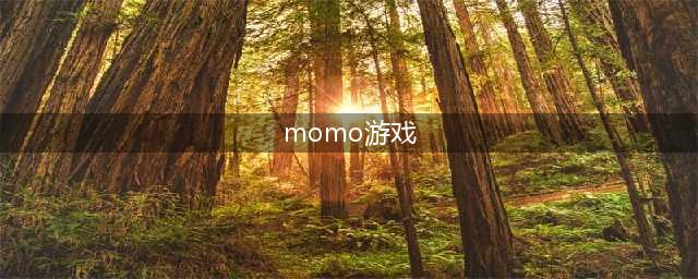 玩转游戏Momo,全攻略分享(momo游戏)