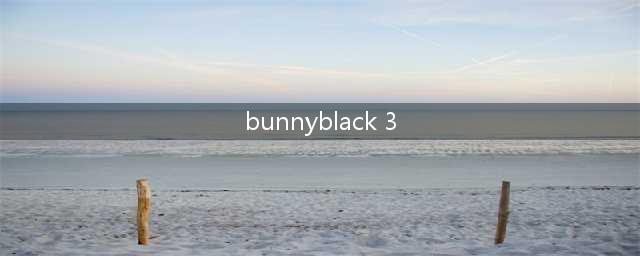 Bunny Black 3：箱子刷取攻略(bunnyblack 3)