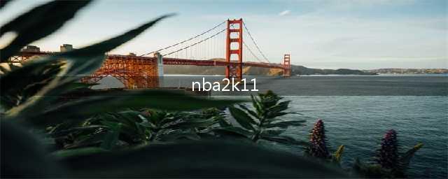 NBA 2K11传奇模式全攻略(nba2k11)