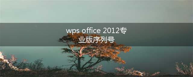 怎么查看wps2012专业版的激活信息(wps office 2012专业版序列号)