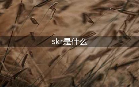 skr是什么意思(skr是什么)