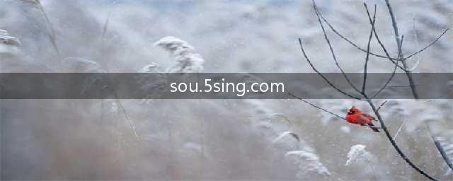 推荐一些好用的录歌软件(sou.5sing.com)