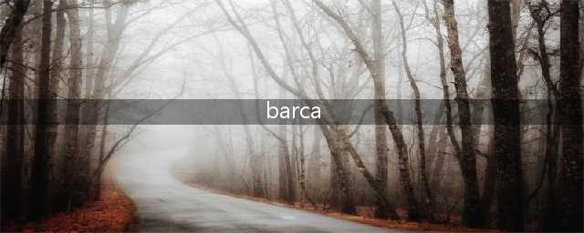 barca（关于巴塞罗那足球俱乐部的资讯）