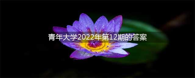 青年大学习2022年第12期答案解析汇总(青年大学2022年第12期的答案)