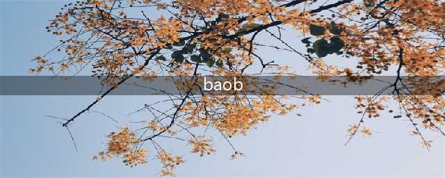 baob I will always(baob)