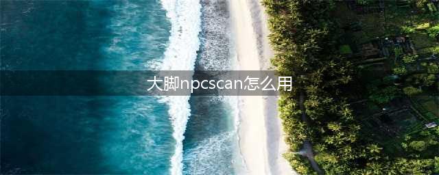 npcscan怎么使用(大脚npcscan怎么用)