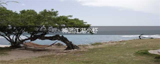 新标题：重生神武江湖,小虾大能耀世挑战(神武江湖小虾)